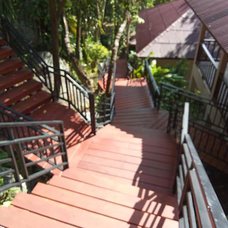 Pawpaw Resort Lamai Beach  Eksteriør bilde